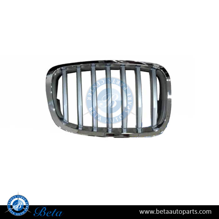 Right Side Grille Titan for BMW X6 E71 LCI 2013-2014 models, Part Number 51137307600 Right Side Grille Titan for BMW X6 E71 LCI 2013-2014 models, Part Number 51137307600